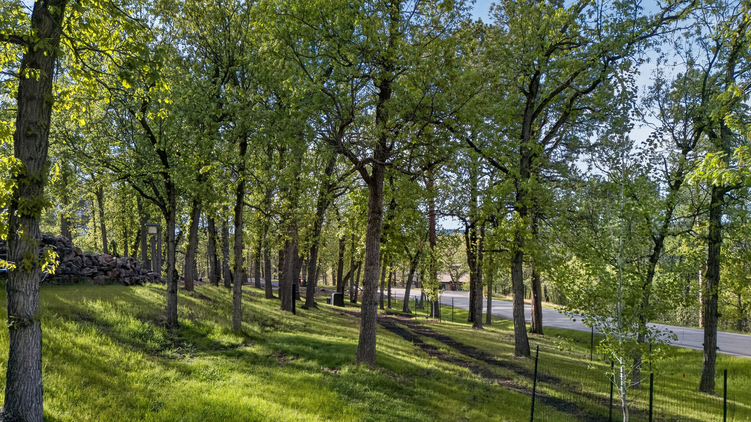 23649 Wilderness Canyon Rd, Rapid City, SD, 57702, views
