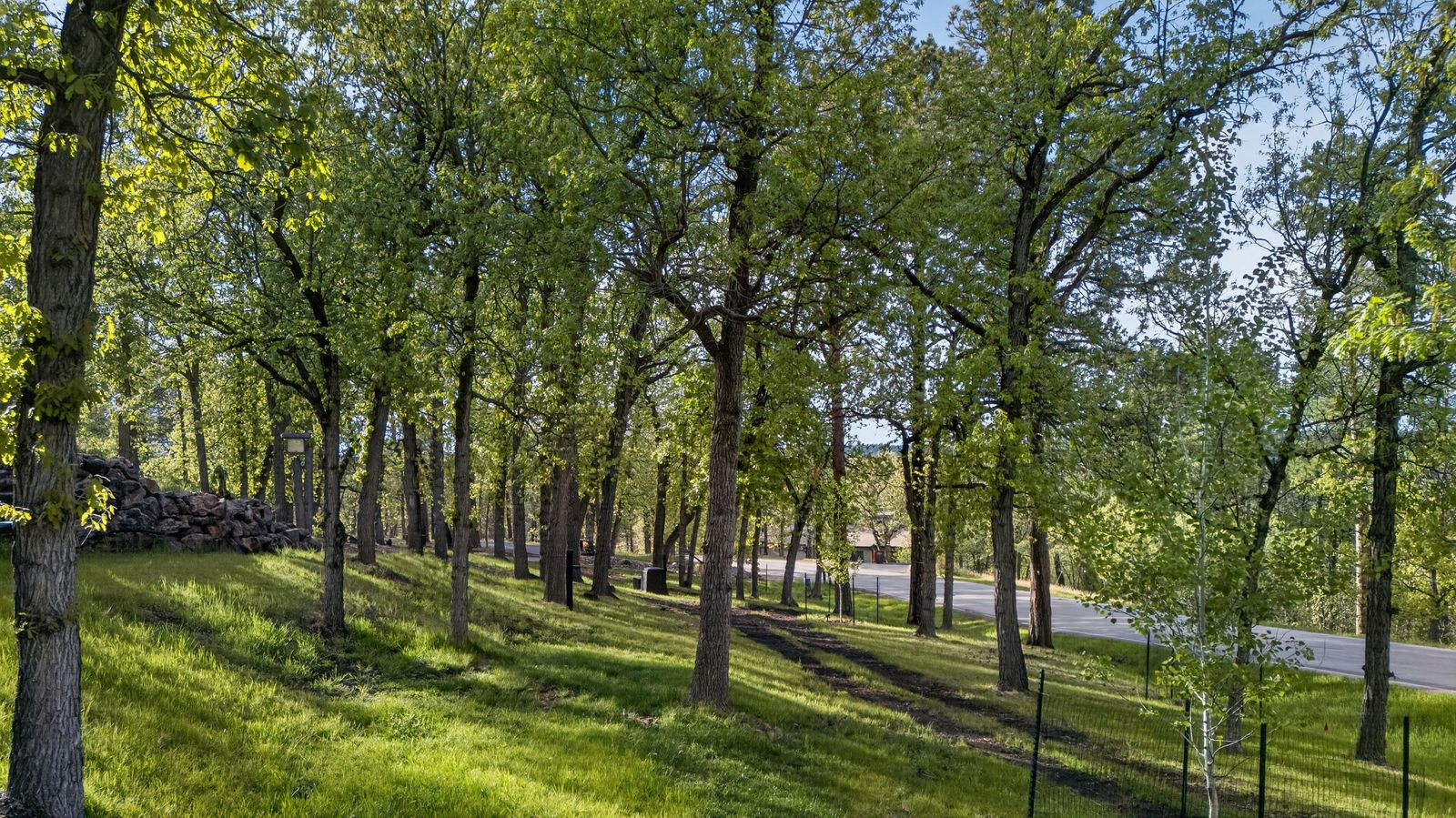 23649 Wilderness Canyon Rd, Rapid City, SD, 57702, views